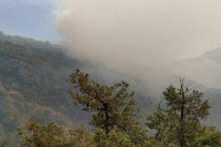 В результате огня азербайджанских вооруженных сил горят леса Джермука 