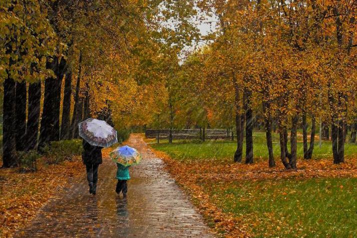 В Армении сохранится дождливая погода
