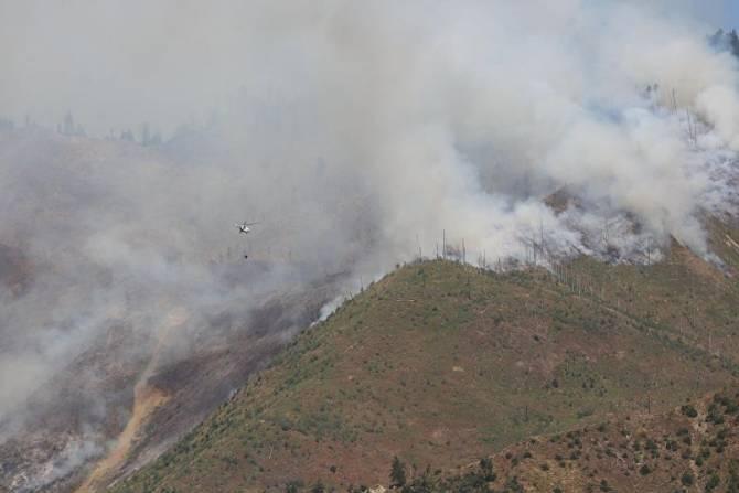 Пожар в Боржомском лесу  прибудут гасить вертолеты турецких ВВС
