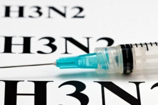 Распространенный в США гонконгский грипп в Армении не регистрируется – специалист