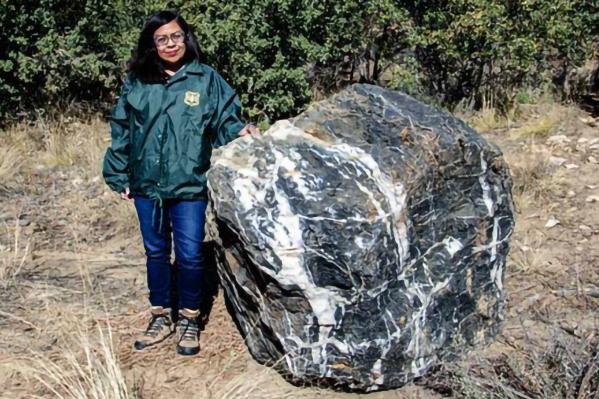 Загадочная история: из Национального леса в Аризоне исчез гигантский валун весом в тонну, но потом вернулся на место