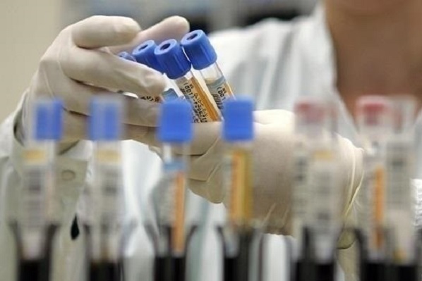 В Китае обнаружен новый штамм свиного гриппа, который может вызвать пандемию 