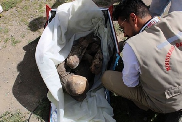 Перуанец долгие годы спал в кровати с 600-летней мумией девушки, а она оказалась… мужчиной