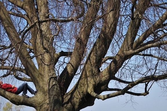 Март 2020 года стал вторым самым теплым мартом на планете за всю историю наблюдений