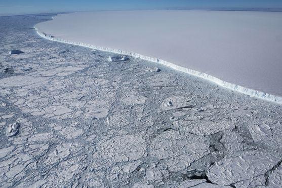 Крупнейший айсберг в мире выходит в открытый океан