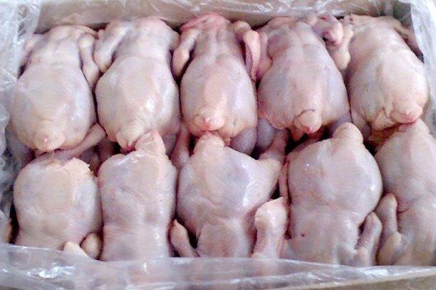 В Армении запрещен ввоз мяса птицы из России из-за болезни Ньюкасла