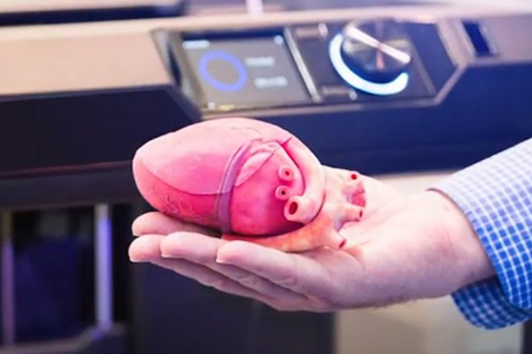 Недорогой и удобный прототип: на 3D-принтере удалось напечатать реалистичную модель сердца