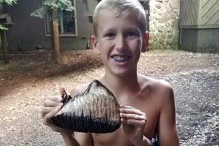 В США школьник случайно нашел зуб доисторического мамонта 