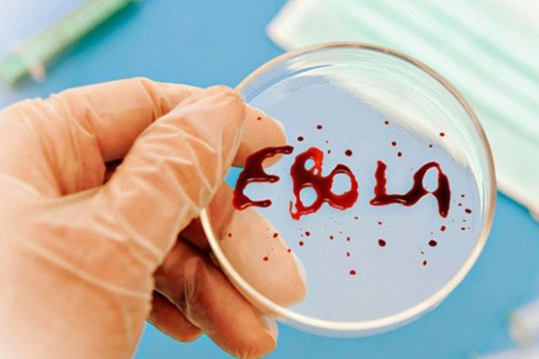Новая вспышка лихорадки Эбола в Конго: общее количество заболевших превысило сотню человек, есть жертвы 