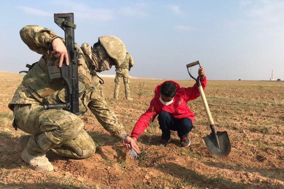 Турция почтила память погибших боевиков оливковыми деревьями