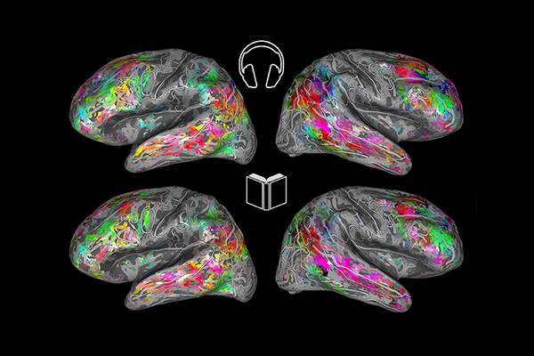 Ученые создали карту мозга, чтобы показать различия между чтением и прослушиванием книг