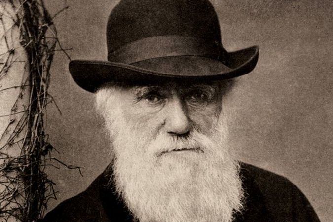 В Кембридже ищут бесценные блокноты Чарльза Дарвина, пропавшие 20 лет назад