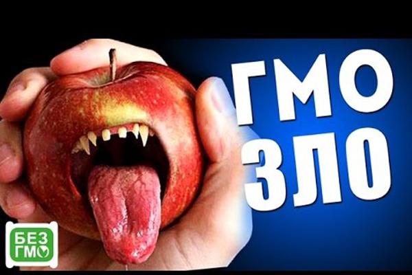 Путин вводит запрет на ГМО