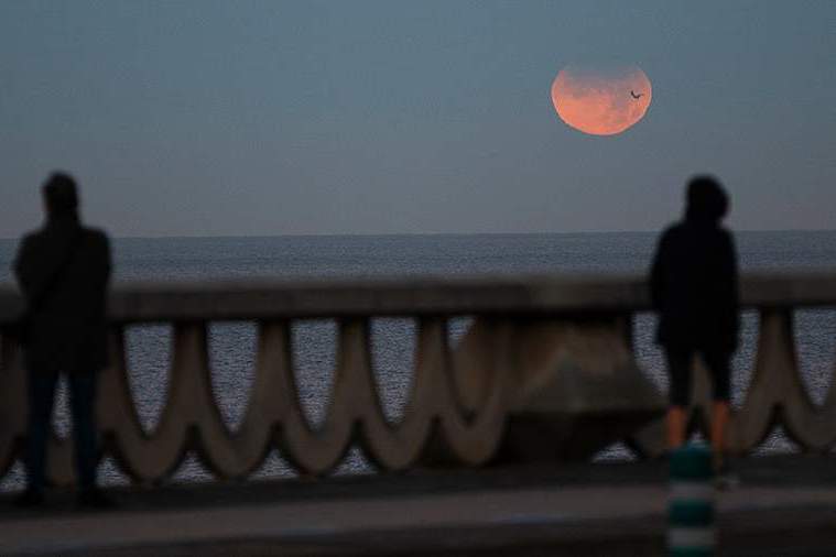 Уникальный год с точки зрения астрологических событий: 8 ноября произойдет уже второе полное лунное затмение