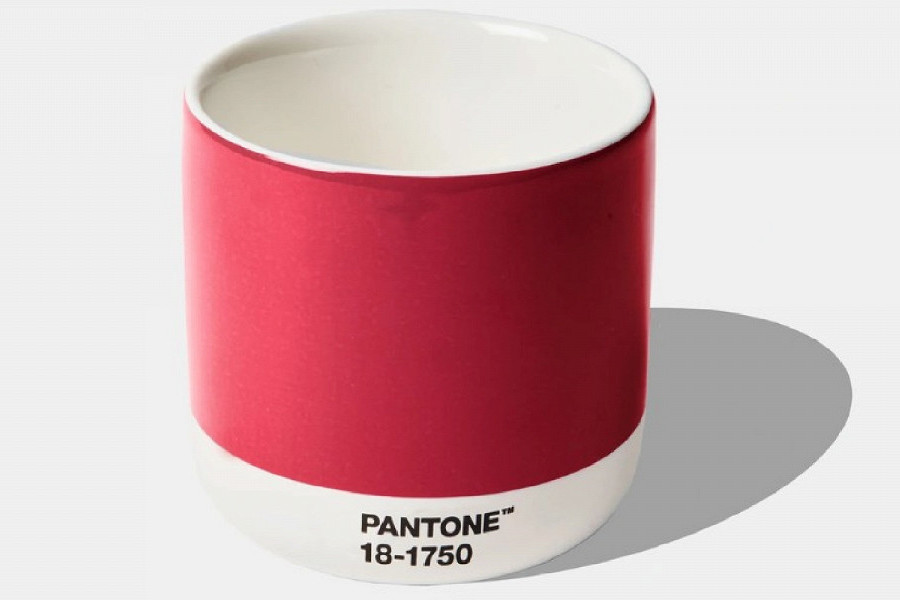 Институт цвета Pantone объявил главный цвет 2023 года
