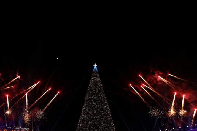 Главная новогодняя елка Армении вошла в топ-3 самых высоких новогодних елок СНГ
