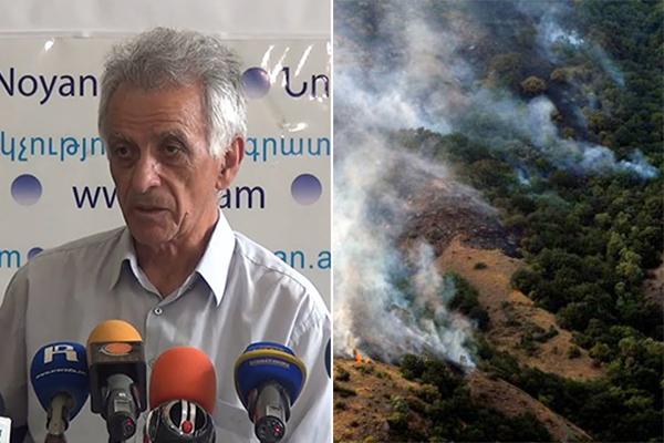 «Անընդհատ ասել, որ շոգ է և սրանով արդարանա՞լ». բնապահպանը անտառային հրդեհները համարում է պաշտոնյաների անպատասխանատվության հետևանք