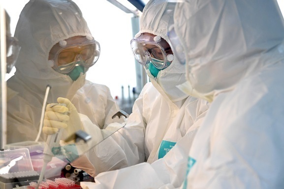Американские ученые нашли в крови выздоровевших от коронавируса пациентов антитела, обеспечивающие мощную защиту от инфекции