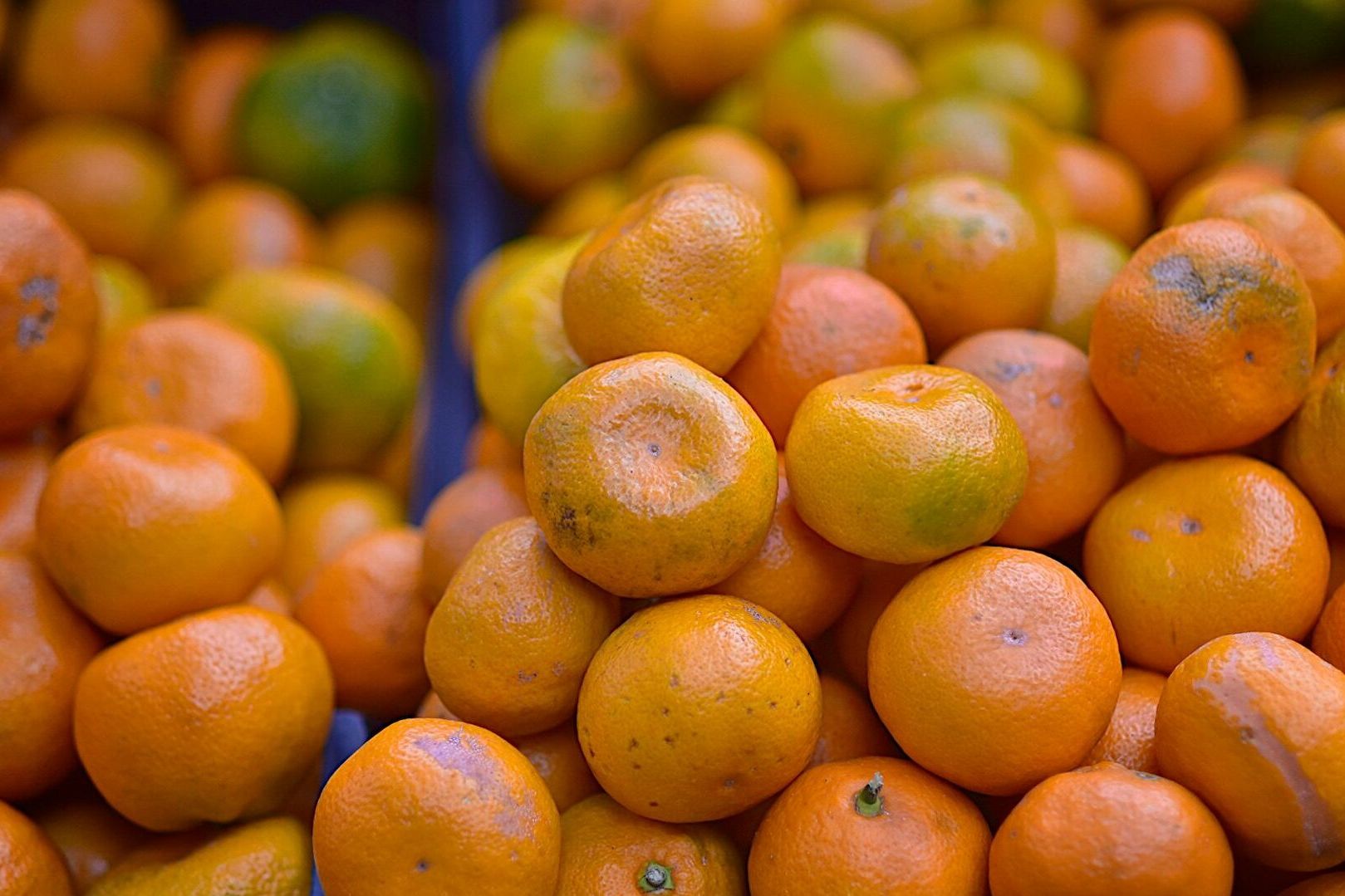 Армения лидирует по импорту грузинских мандаринов