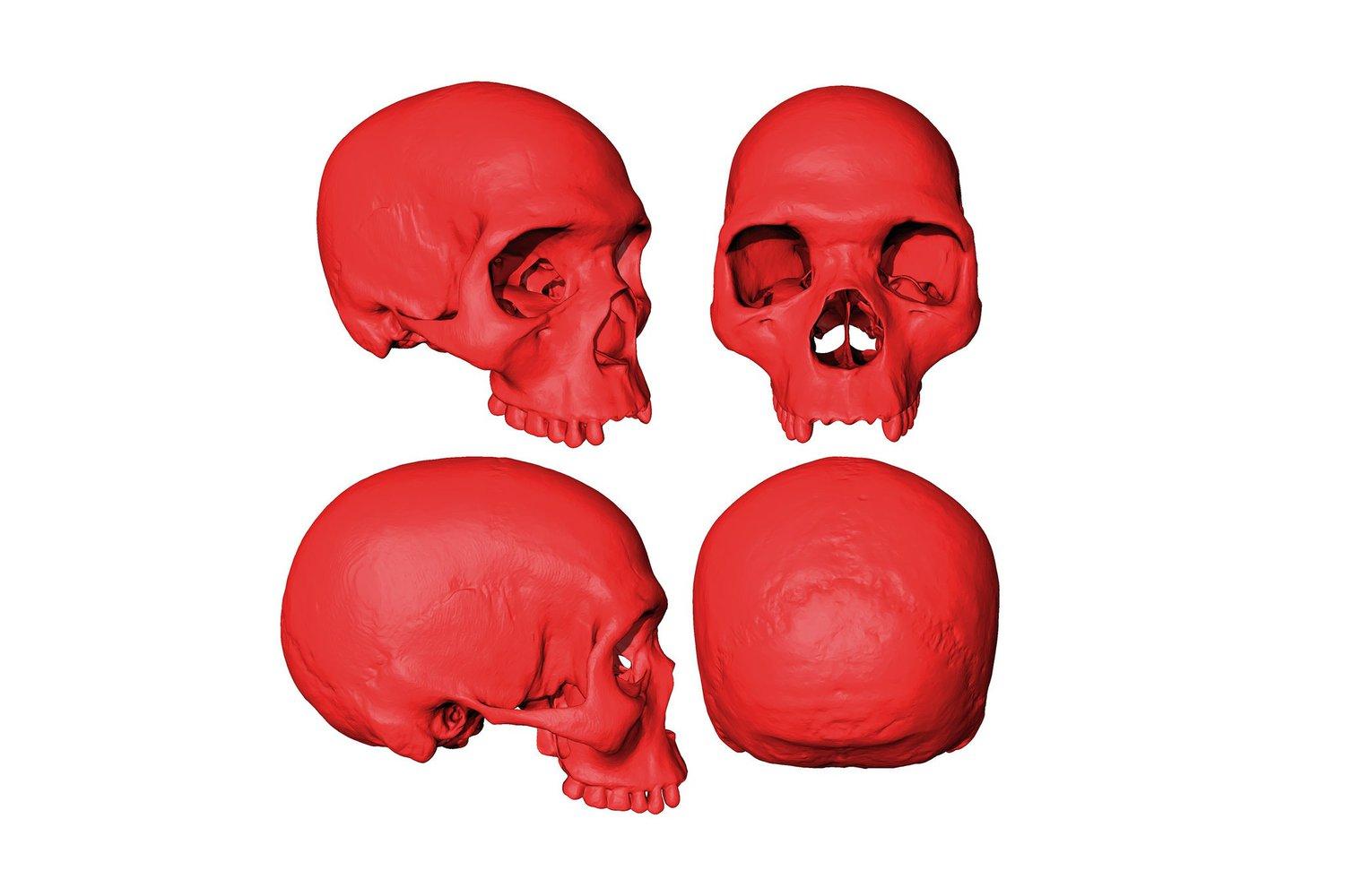Исследователи представили виртуальный череп, принадлежащий последнему общему предку всех современных людей