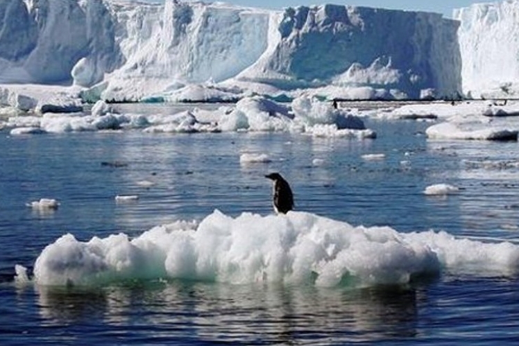 Из-за рекордно высокой температуры: в Антарктике ледник площадью 1200 кв. км полностью разрушился за считанные дни 
