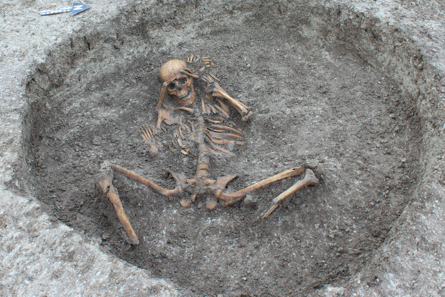 Находка на стройплощадке: в Оксфордшире обнаружены останки людей, обитавших в Англии еще до прихода римлян