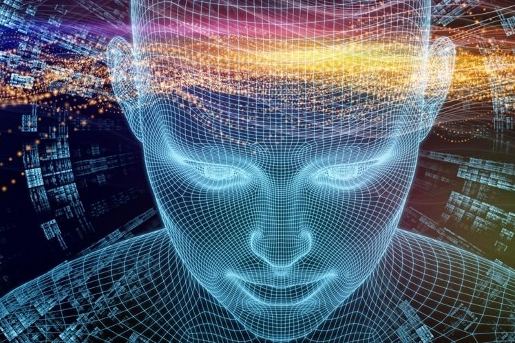 Ученые выдвинули новую теорию организации нейронных сетей, порождающих память, мысли и самосознание