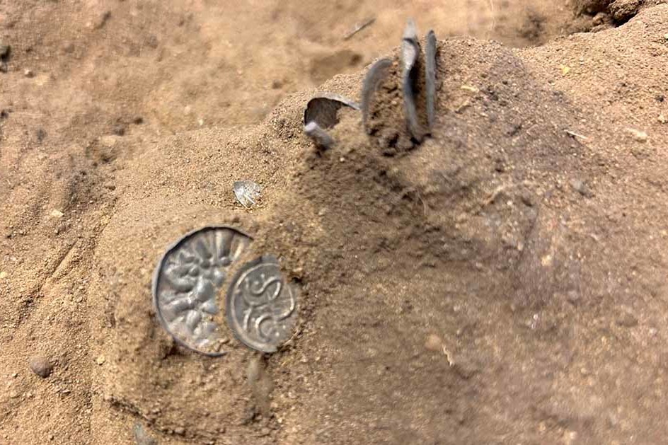 Серебряные украшения и 300 невероятно редких монет: в Дании нашли самую большую сокровищницу викингов за последние полвека