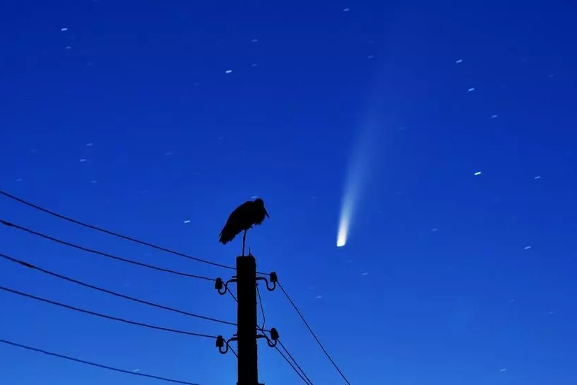 Спешите видеть: в небе Северного полушария впервые за тридцать лет появилась яркая комета