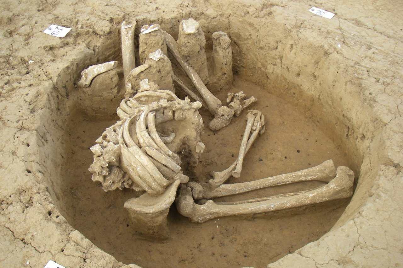 Во Франции археологи нашли святилище галлов, где приносили в жертву римских легионеров