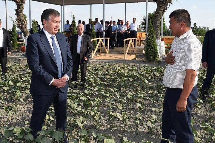 Малый бизнес в Узбекистане освобождён от налогов на пять лет