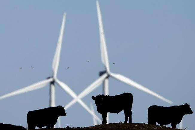 Из-за пандемии выбросы CO₂ рекордно снизились: это сильнейшее в индустриальной истории человечества сокращение вредных загрязнений