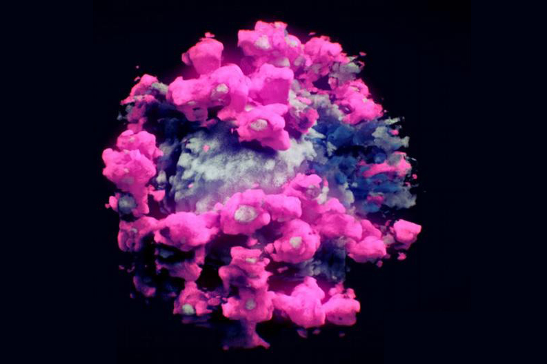 Во всех деталях: ученые сделали первое в мире 3D-фото коронавируса