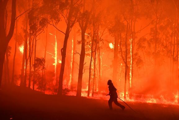 Экологи заявили о миллиарде погибших в огне животных в Австралии
