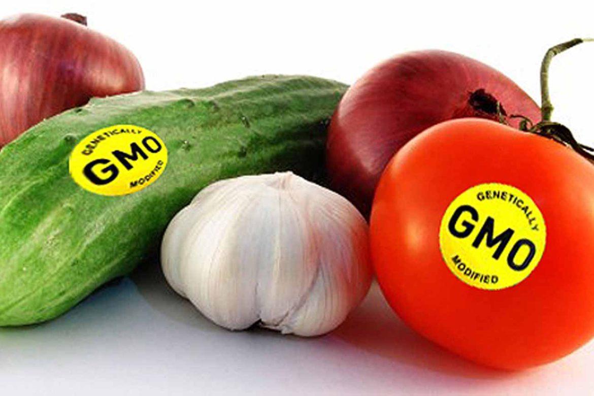 Продукты с ГМО в странах ЕАЭС станут с обязательной маркировкой и заметнее
