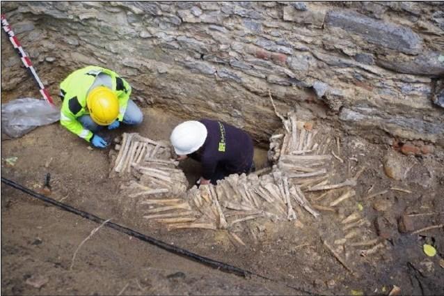 Уникальная находка в Бельгии: в Ганте археологи обнаружили стены из человеческих черепов и костей