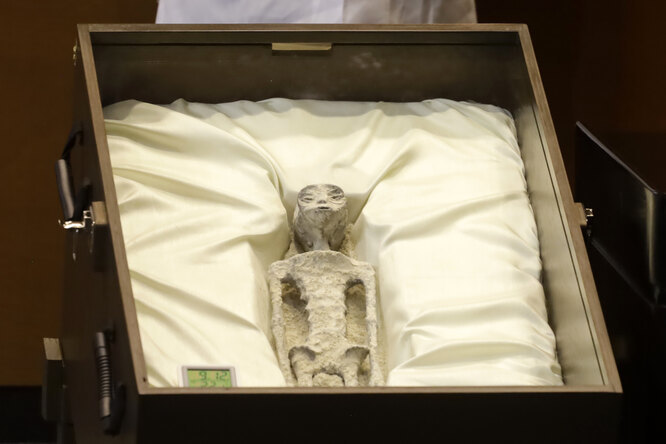 На слушаниях в конгрессе Мексики продемонстрировали тысячелетние «мумии пришельцев»: конгрессмены «обеспокоились» 