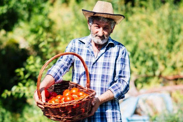 Что обязательно нужно попробовать в Армении, за исключением персиков, бастурмы и армянского коньяка: «АиФ»