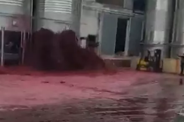 В Испании территорию завода затопило вином