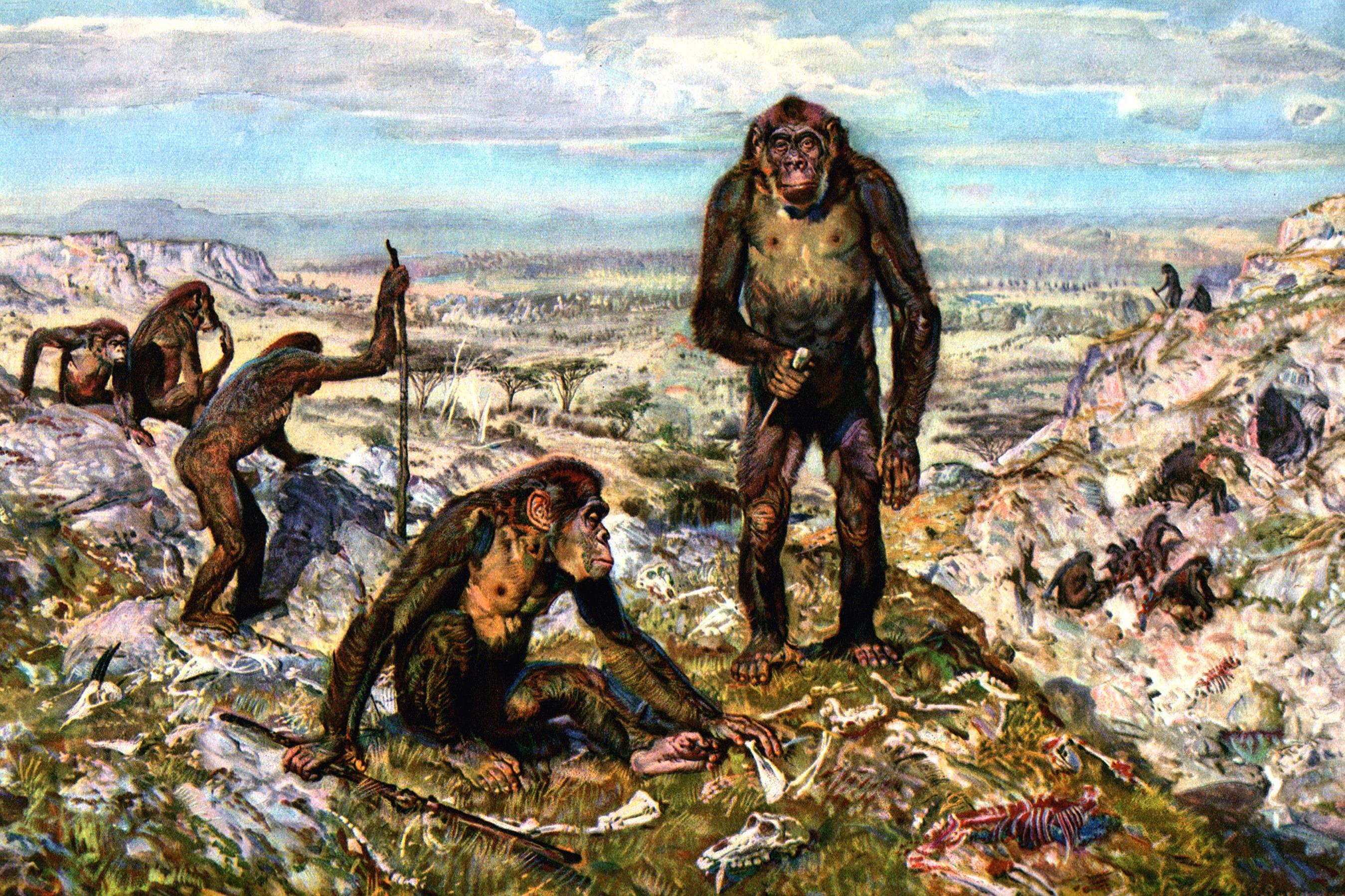 Потребление жира ученые назвали причиной эволюции человека