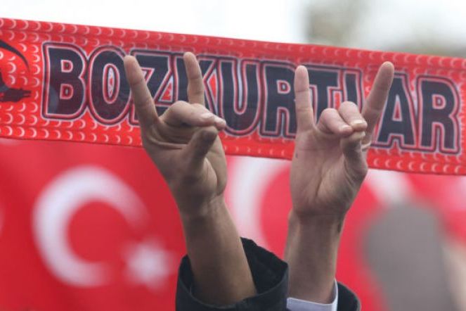 Турция пообещала Франции «жёсткий ответ» после запрета «Серых волков»