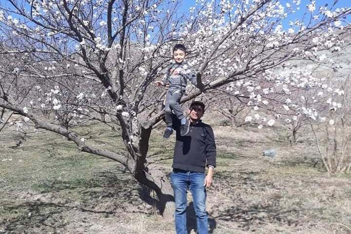 Теплый февраль привел к цветению абрикосов: Гагик Суренян рассказал о климатических изменениях