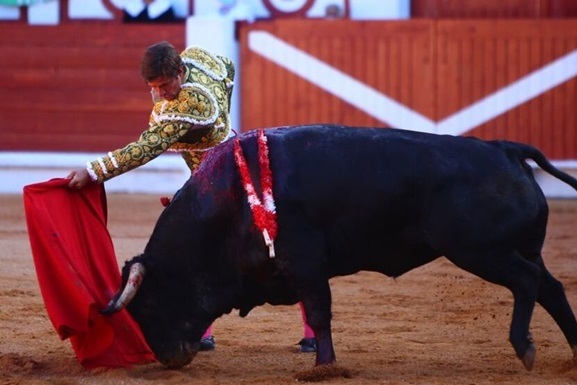 В испанском городе отменили корриду из-за «неполиткорректных» кличек быков