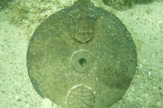 Самая древняя морская астролябия: найден рибор, использовавшийся мореходами в первые годы XVI века