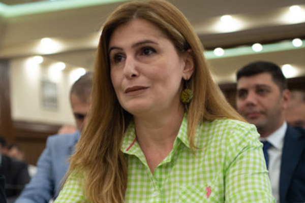 «Անձնական պատասխանատվություն եմ զգում»․ ավագանու անդամը՝ կենգուրուների հոշոտման դեպքի մասին