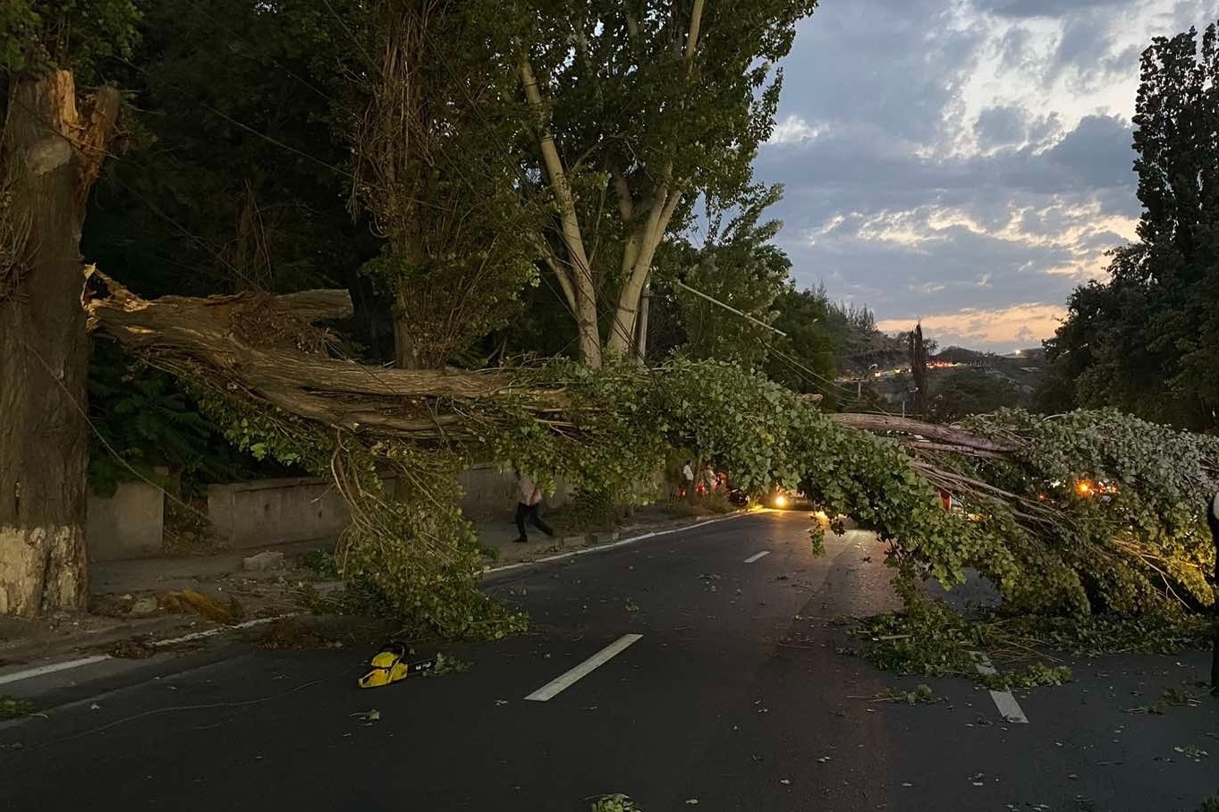 Последствия сильного ветра в Ереване: повалены деревья и рекламные щиты, повреждены кровли домов  