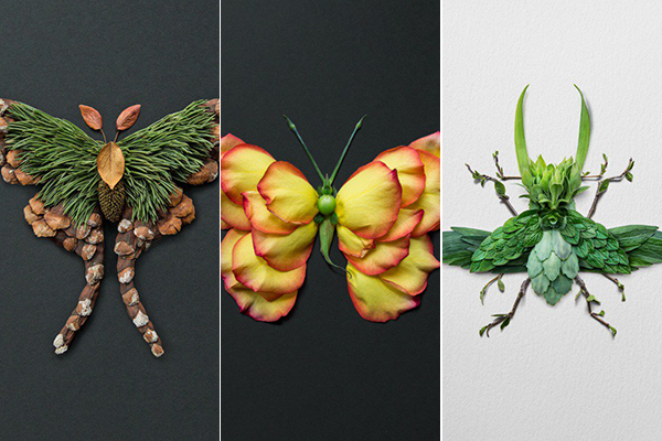 Насекомые из цветов и растений: необычный фотопроект художника 