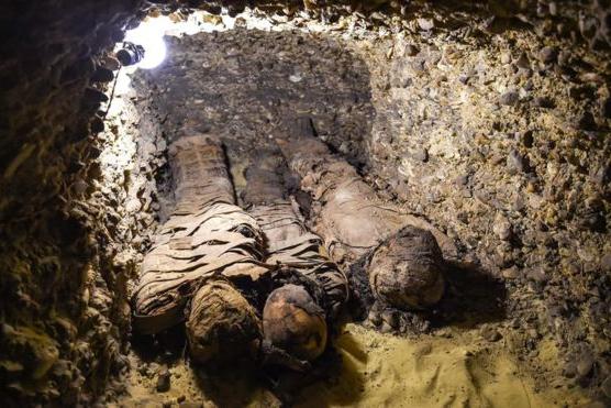 В Египте обнаружили древнюю гробницу, в которой находились 50 хорошо сохранившихся мумий
