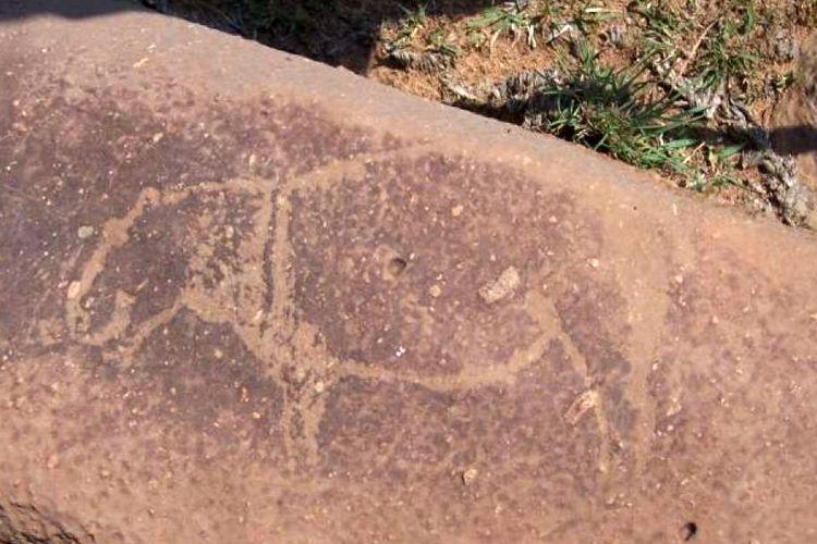 В ЮАР нашли наскальные рисунки возрастом 8000 лет: oни находятся в крупнейшем метеоритном кратере Земли