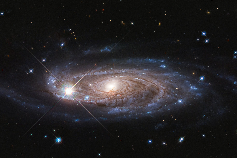 «Хаббл» сделал фото «галактики-Годзиллы»: она имеет все шансы оказаться самой крупной из всех известных астрономам